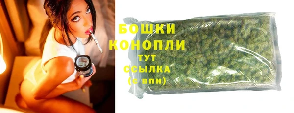 spice Арсеньев