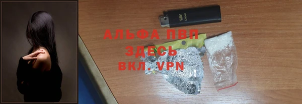 spice Арсеньев