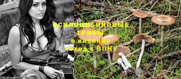 а пвп мука Баксан