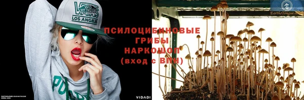 spice Арсеньев
