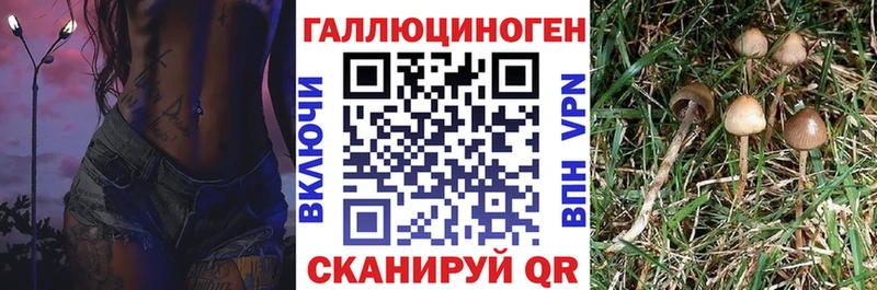 Галлюциногенные грибы ЛСД  Орлов 